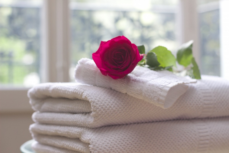 chambre-hote-CUEBRIS-min_towel_rose_clean_care_salon_spa_white_bath-731641